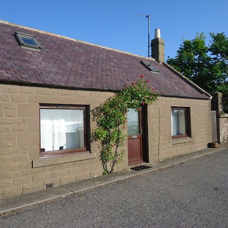 Myrtle Cottage Johnshaven Екстериор снимка