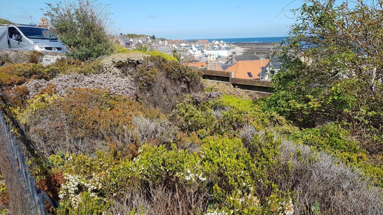 Myrtle Cottage Johnshaven Екстериор снимка